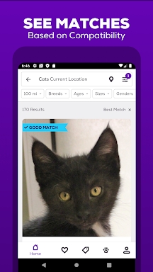 Petfinder - Adopt a Pet screenshots
