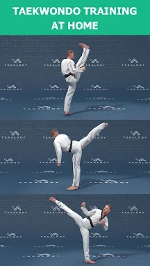 Mastering Taekwondo at Home screenshots