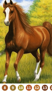 Horse Color by Number screenshots