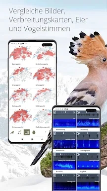 Vogelführer Birdlife Schweiz screenshots
