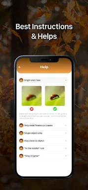 Insect ID - Insect identifier app screenshots