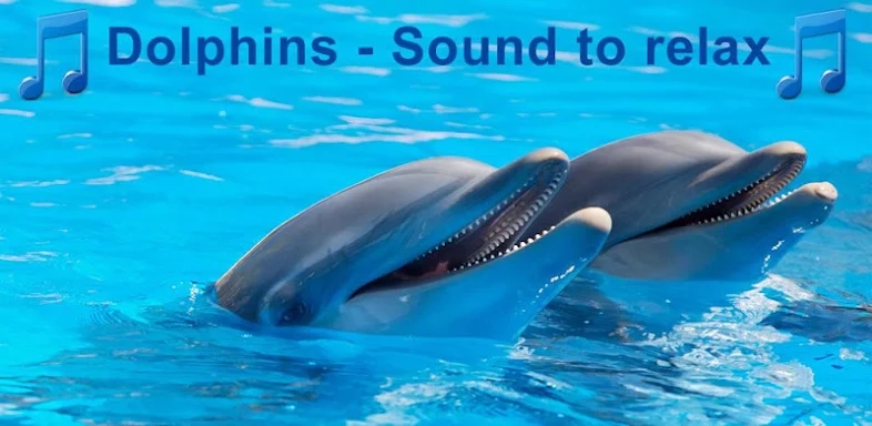 Dolphins - Sound to relax screenshots