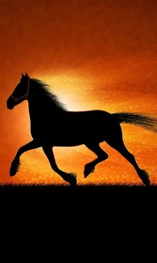 Horses Live Wallpaper screenshots