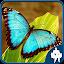 Butterfly Jigsaw Puzzles icon