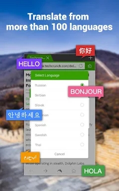 Dolphin | YeeCloud Translate screenshots