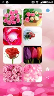 Roses flower Wallpapers V2 screenshots