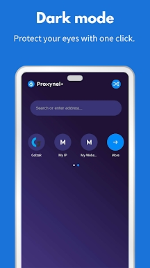 Proxynel: web proxy browser screenshots