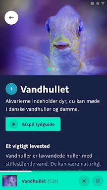 National Aquarium Denmark screenshots