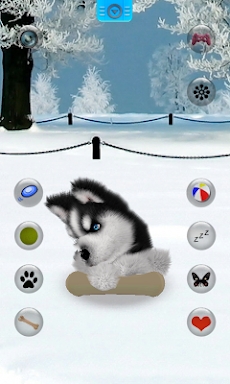 Talking Siberian Husky screenshots