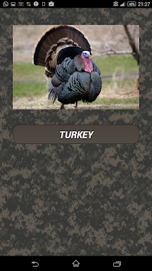 Turkey calls screenshots