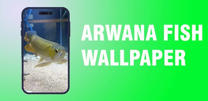 Arowana Fish Simple Wallpapers screenshots