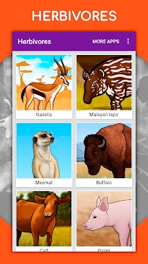 How to draw animals by steps screenshots