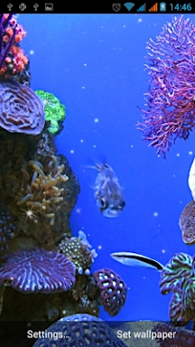 Aquarium Live Wallpaper screenshots