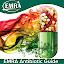 EMRA Antibiotic Guide icon