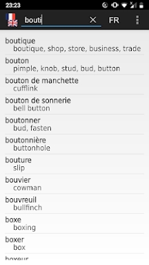 French - English offline dict. screenshots
