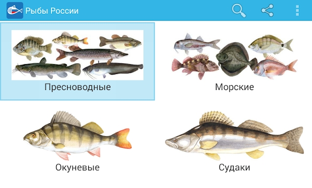 Рыбы России screenshots