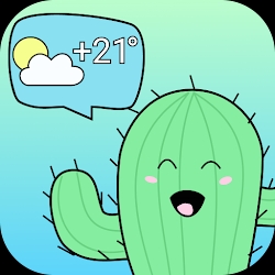 Cactusini live weather