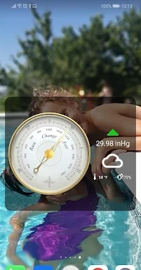 Professional barometer screenshots