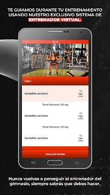 Fit Fighters screenshots