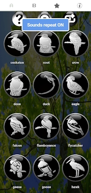 Classic Real Bird Ringtones screenshots