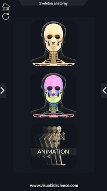 Skeleton Anatomy Pro. screenshots