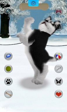 Talking Siberian Husky screenshots