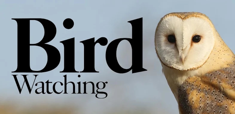Bird Watching: Expert tips  screenshots