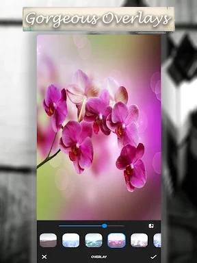 Instant Camera FX Retro Filter screenshots