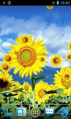 Sunflower Live Wallpaper screenshots