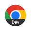 Chrome Dev icon