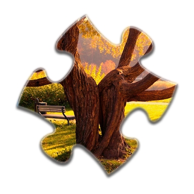 Forest Jigsaw Puzzles screenshots
