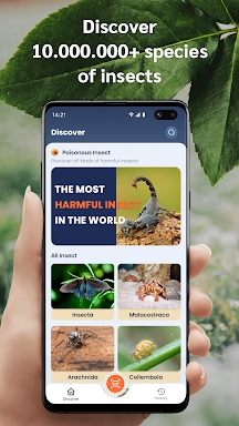 Picture insect: Bug identifier screenshots