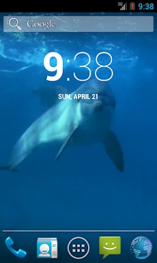 Video Wallpapers: Amazing Dolphins HD screenshots