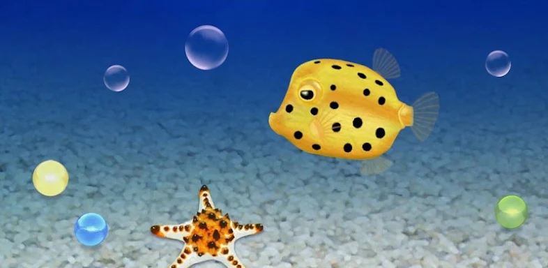 Boxfish simulation game screenshots