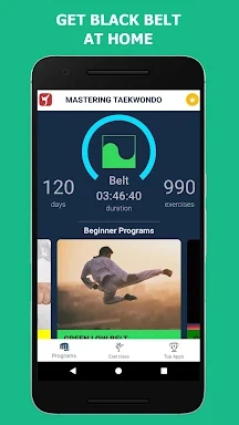 Mastering Taekwondo at Home screenshots