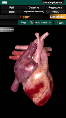 Internal Organs in 3D Anatomy screenshots