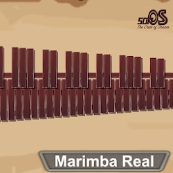 Marimba, Xylophone, Vibraphone
