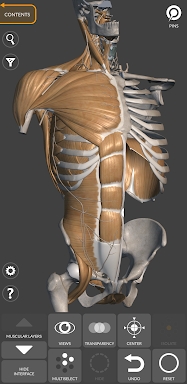 3D Anatomy for the Artist screenshots