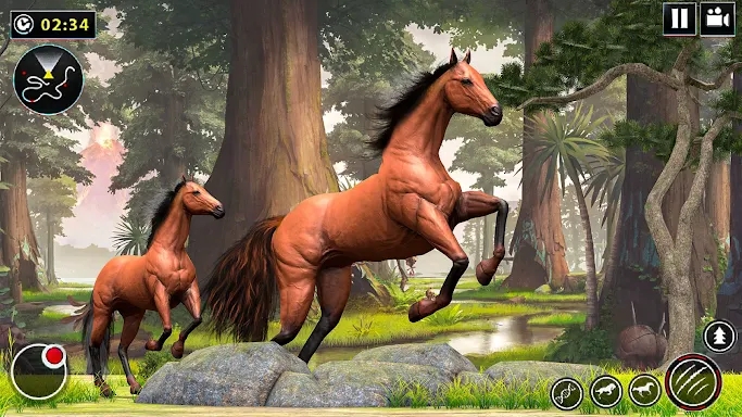Wild Horse Family Simulator screenshots