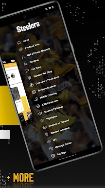 Pittsburgh Steelers screenshots