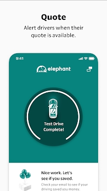 Safe Driver by Elephant screenshots