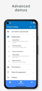 Flutter Catalog screenshots