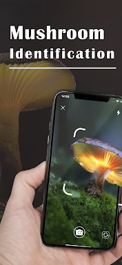 Mushroom Identifier - Picture Mushroom screenshots