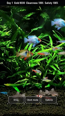 Tropical Aquarium - Mini Aqua screenshots