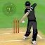 Smashing Cricket: cricket game icon