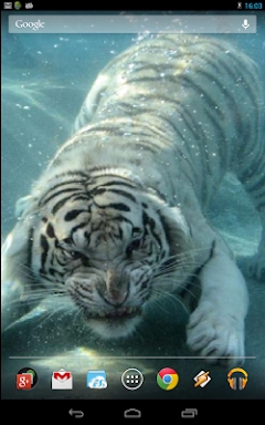 Underwater Tiger screenshots