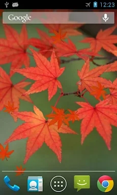 Maple Leaf Live Wallpaper screenshots