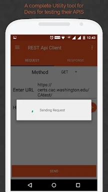 REST Api Client Android screenshots