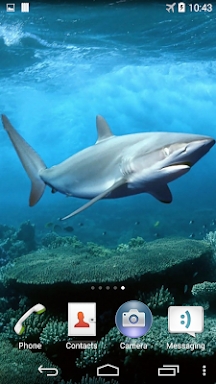 Shark Live Wallpaper screenshots