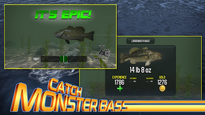 Master Bass: Fishing Games screenshots